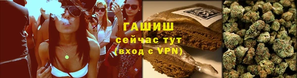 трава Бородино