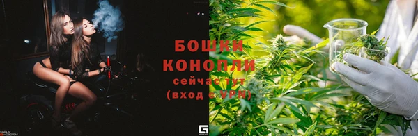 ECSTASY Богородск