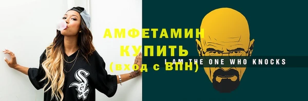 соль ск Богородицк