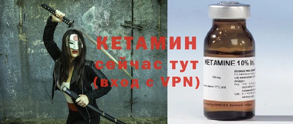 трава Бородино