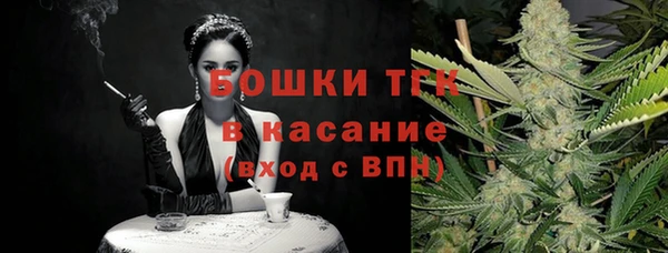 соль ск Богородицк